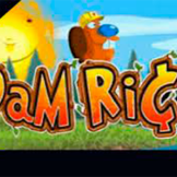 Dam Rich logo