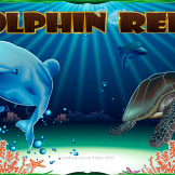 Dolphin Reef(NextGen) logo