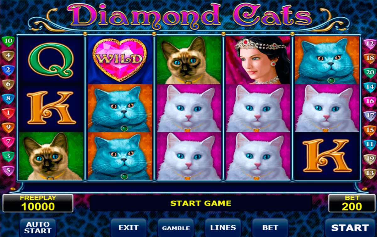 diamond cats amatic 