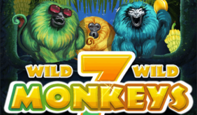 logo 7 monkeys pragmatic 