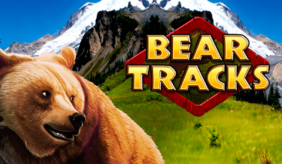 logo bear tracks novomatic 