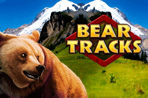 logo bear tracks novomatic 