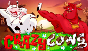 logo crazy cows playn go 