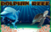 logo dolphin reef nextgen gaming 
