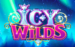 logo icy wilds igt 