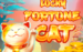 logo lucky fortune cat red tiger 