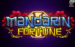 logo mandarin fortune leander 