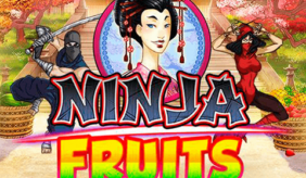 logo ninja fruits playn go 
