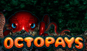 logo octopays microgaming 