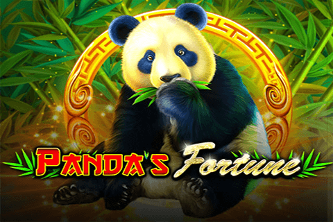 logo pandas fortune pragmatic 