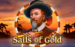 logo sails of gold playn go 