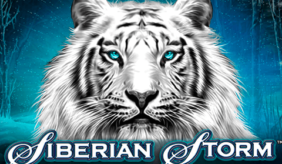 logo siberian storm igt 