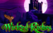 logo the wizard of oz wicked riches wms 