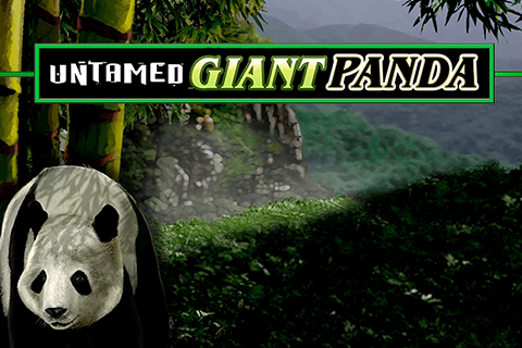 logo untamed giant panda microgaming 