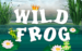 logo wild frog merkur 