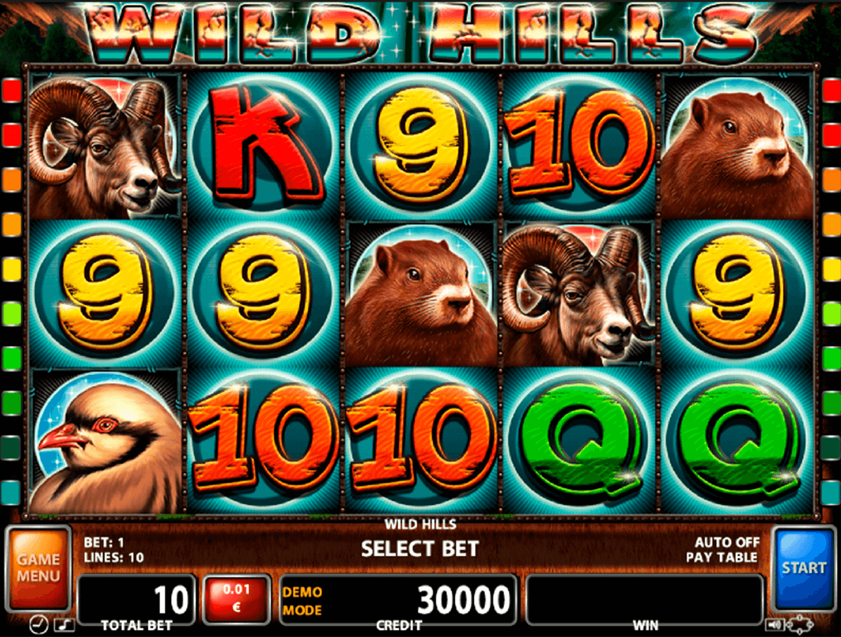 wild hills casino technology 